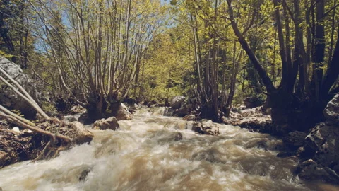 River Stock Footage 159061599