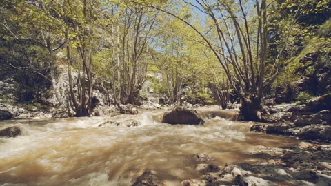River Stock Footage 159069631