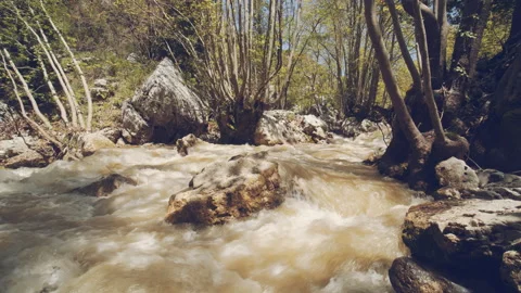 River Stock Footage 159081717