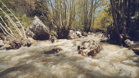 River Stock Footage 159083127