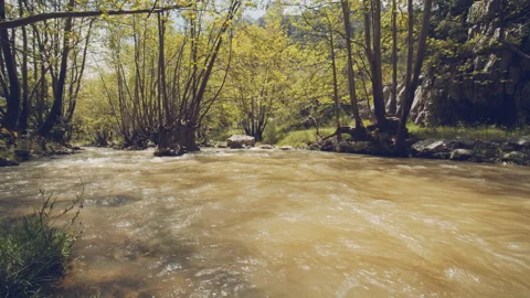River Stock Footage 159084263