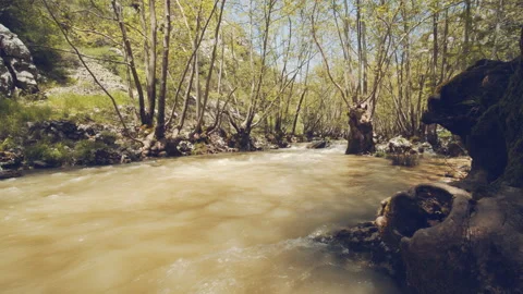 River Stock Footage 159086259