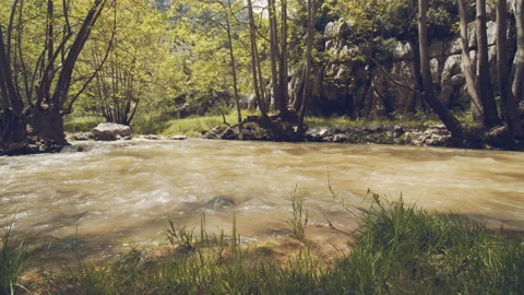 River Stock Footage 159088921