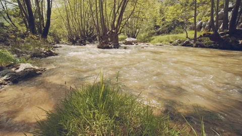River Stock Footage 159090211