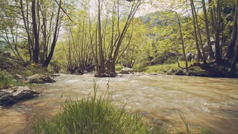 River Stock Footage 159092524