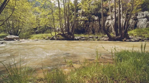 River Stock Footage 159094383