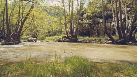 River Stock Footage 159096285