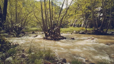 River Stock Footage 159125820