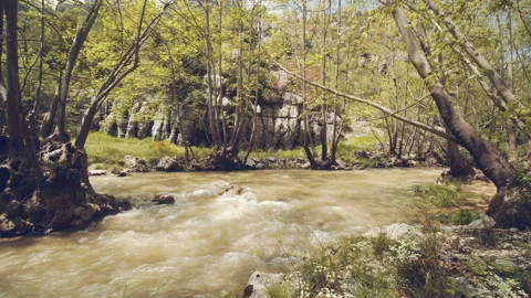 River Stock Footage 159127831