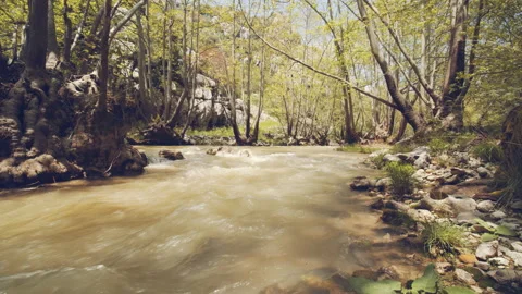 River Stock Footage 159129295