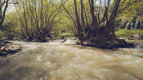 River Stock Footage 159133854