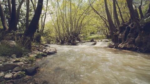 River Stock Footage 159135952