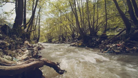 River Stock Footage 159138301
