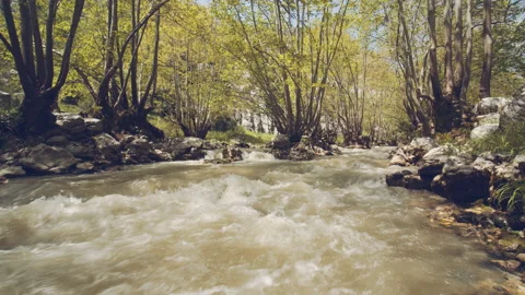 River Stock Footage 159139772