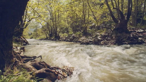 River Stock Footage 159141279