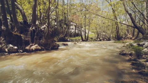 River Stock Footage 159157533