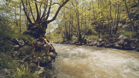 River Stock Footage 159167744
