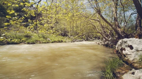 River Stock Footage 159174433