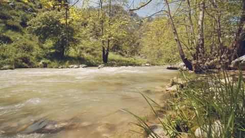 River Stock Footage 159176901