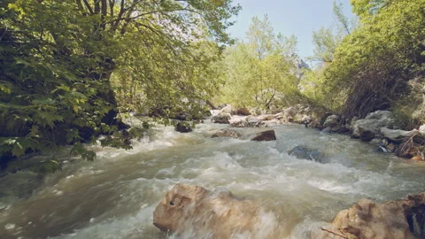 River Stock Footage 159251639