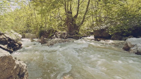 River Stock Footage 159252770