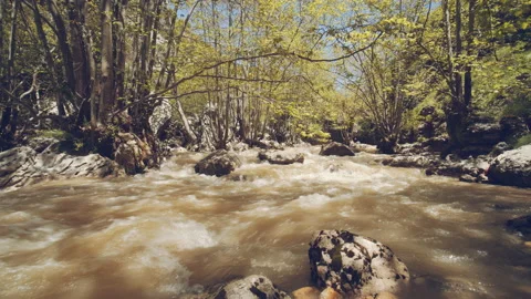 River Stock Footage 159253967