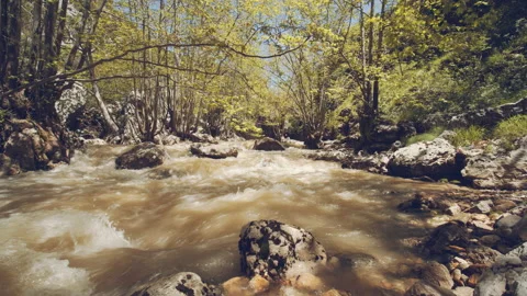 River Stock Footage 159255039