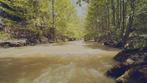 River Stock Footage 159982545