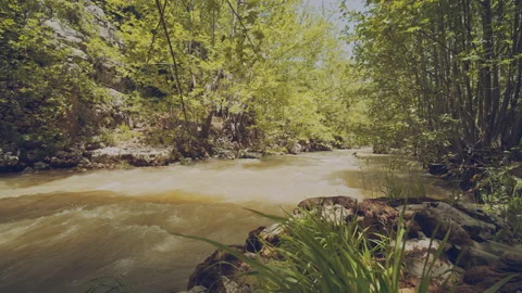 River Stock Footage 160029982