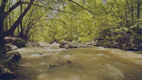 River Stock Footage 160033893