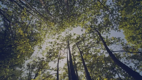 River Stock Footage 160037106