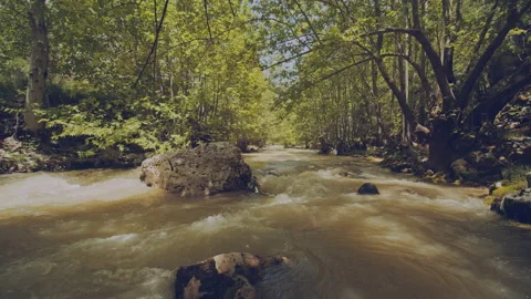 River Stock Footage 160078746