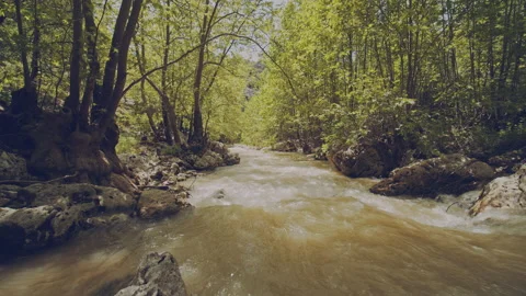 River Stock Footage 160081277