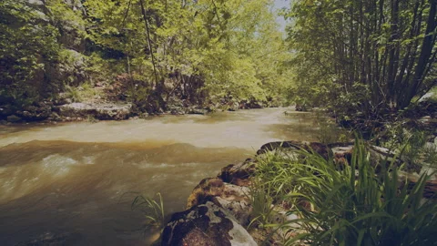 River Stock Footage 160134049