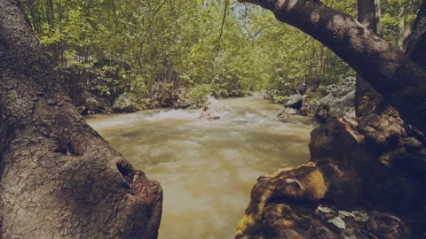 River Stock Footage 160134547