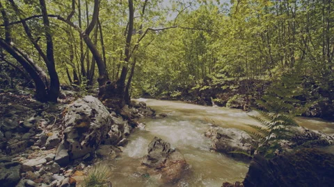 River Stock Footage 160135615
