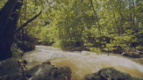 River Stock Footage 160136462