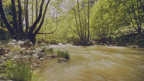 River Stock Footage 160138180