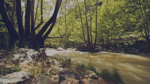 River Stock Footage 160138598