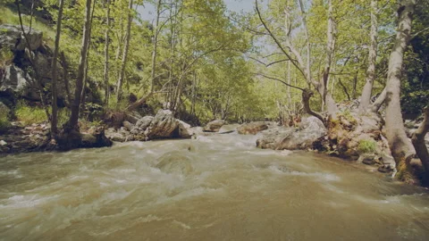 River Stock Footage 160139447
