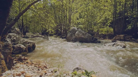 River Stock Footage 160140342