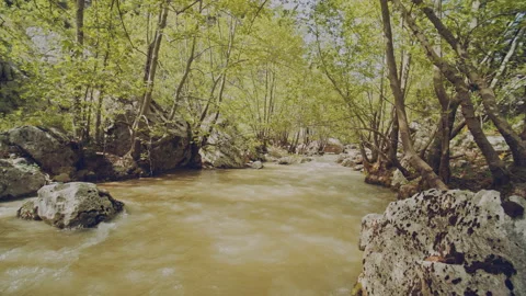 River Stock Footage 160141450