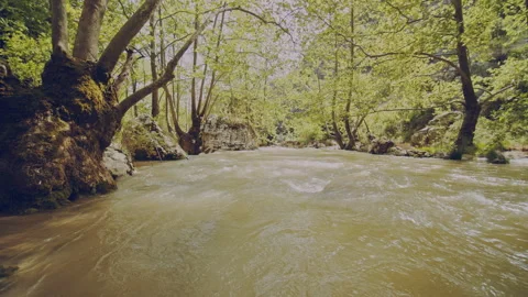 River Stock Footage 160143573