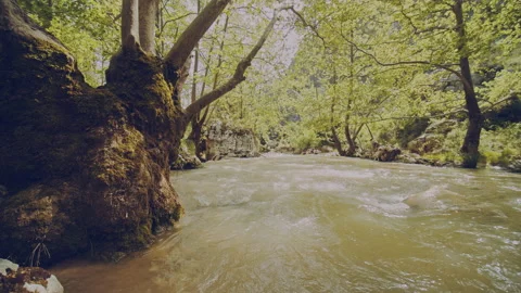 River Stock Footage 160144936