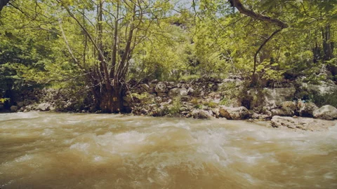 River Stock Footage 160171965