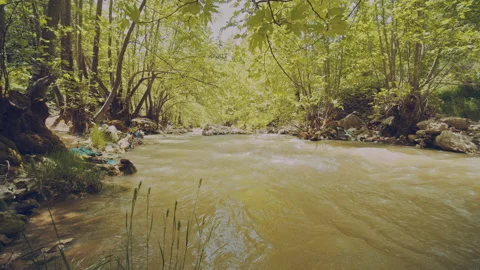 River Stock Footage 160176270