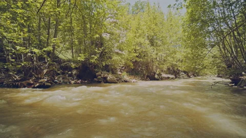 River Stock Footage 160177205