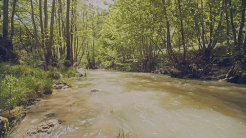 River Stock Footage 160374228
