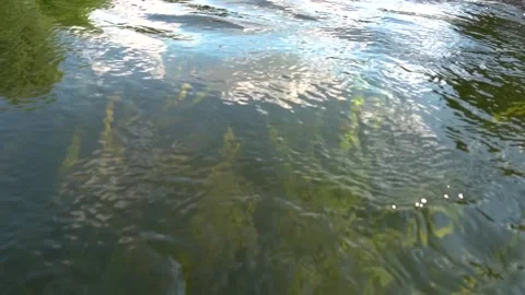 River Video stock 160659474