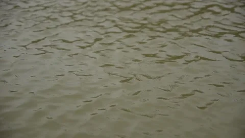 River Stock Footage 166636207